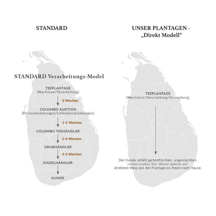 Spijsverteringsthee „G” voor wholesale door Green Lane