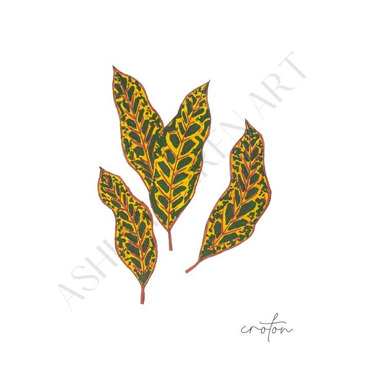 Croton Leaves Art Print for wholesale by Ashley Laren Art