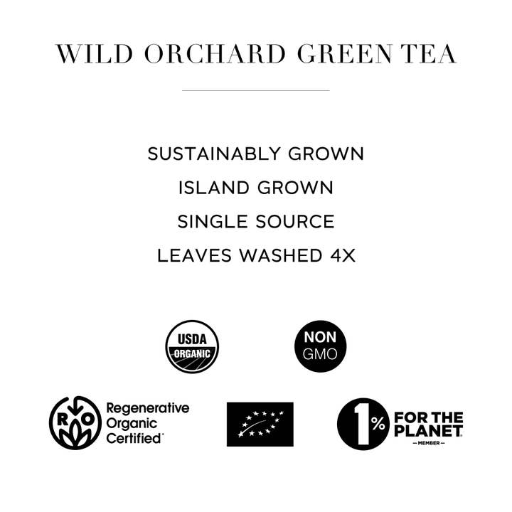 Wild Orchard Tea Company - Wholesale Loose Tea - After Rain – Green Tea – Premium Organic Loose Leaf Tea4