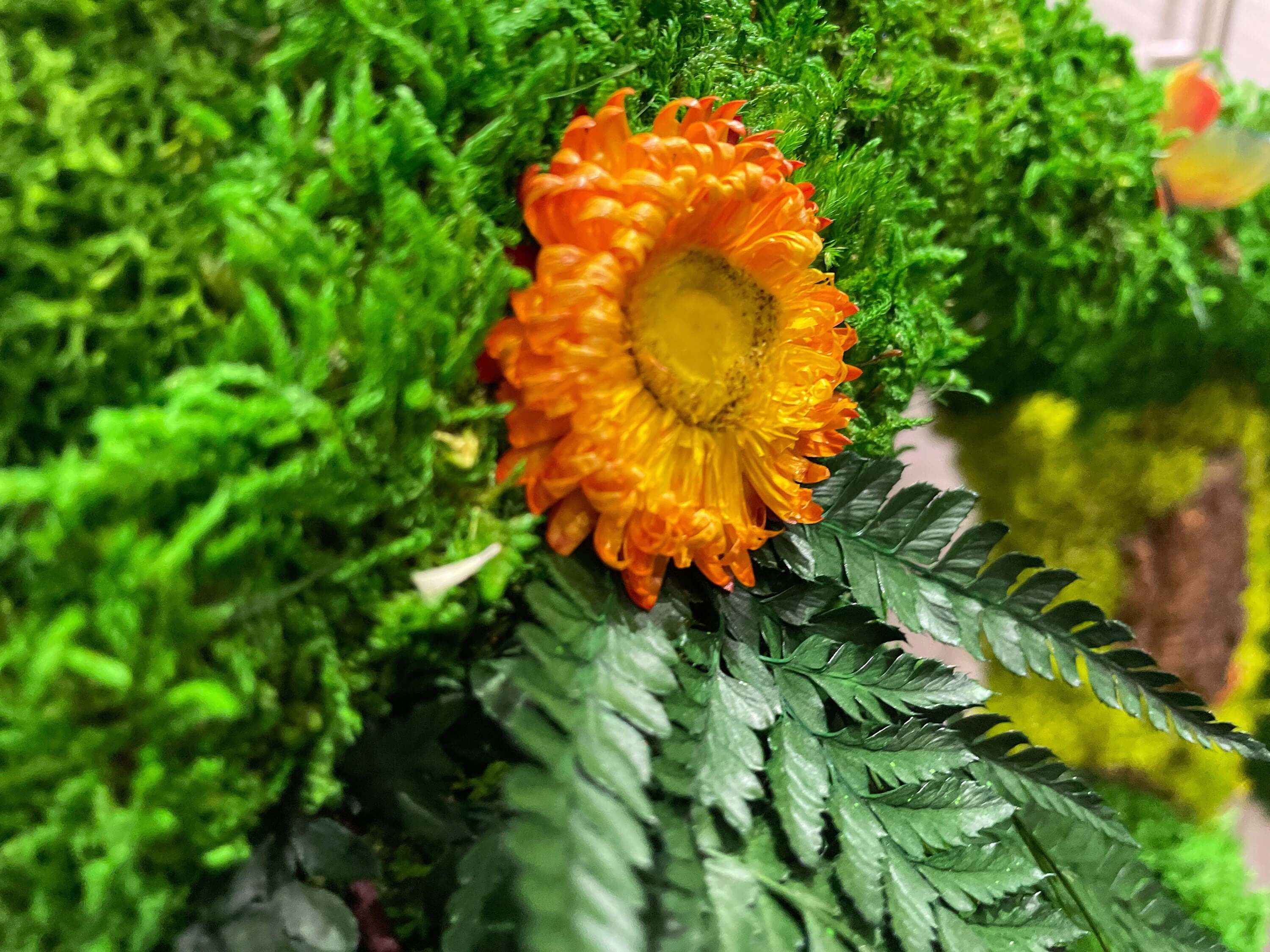 Rishstudio – wholesale Wall Accent – Custom Backlit Wall Letters | Moss Letters logo With Light | RishStudio7