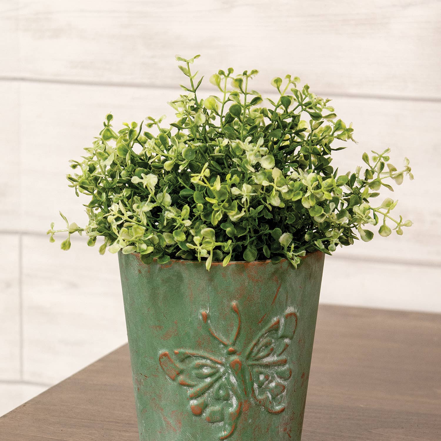 CWI Gifts - Wholesale Artificial Plant - Cream Tipped Baby's Grass Half Sphere - 9" x 6.5"H2