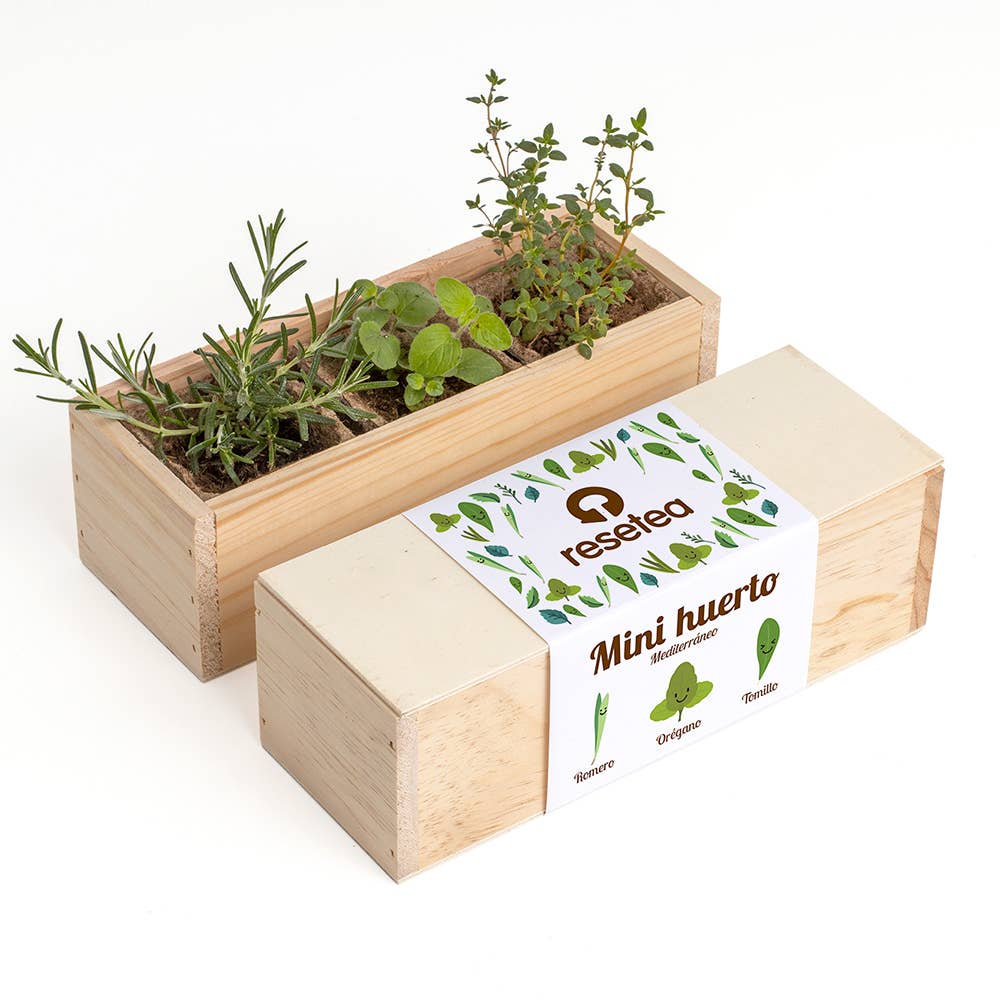 Resetea - Wholesale Plant Seeds - Mini Mediterranean Garden🌿4