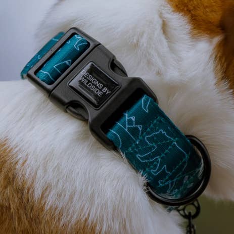 Summit Hundehalsbånd – Eventyr Komfortpasform for engroshandel hos Wildside Dog Gear