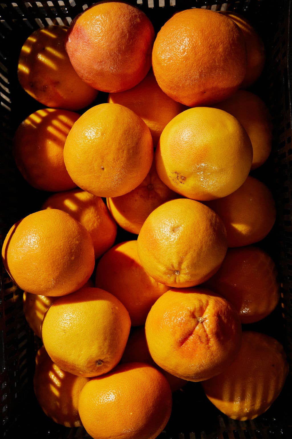 Girl Meets Dirt - Wholesale Preserves - Orange Peppered Pear Spoon Preserves 7.75oz6