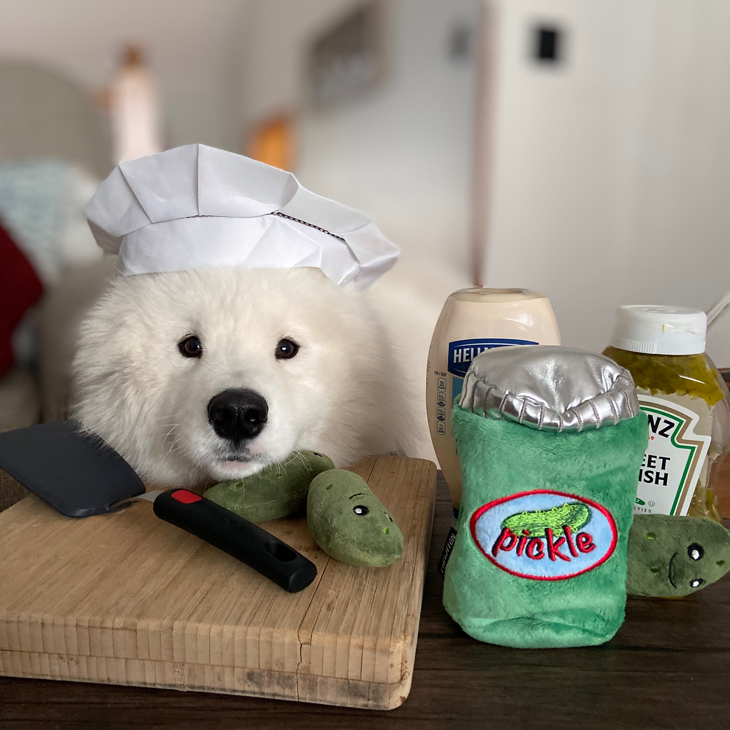 CHEWFFON - Wholesale Pet Plush Toy - Dog - CHEWFFON Pickle Jar Hide & Seek Dog Toy5