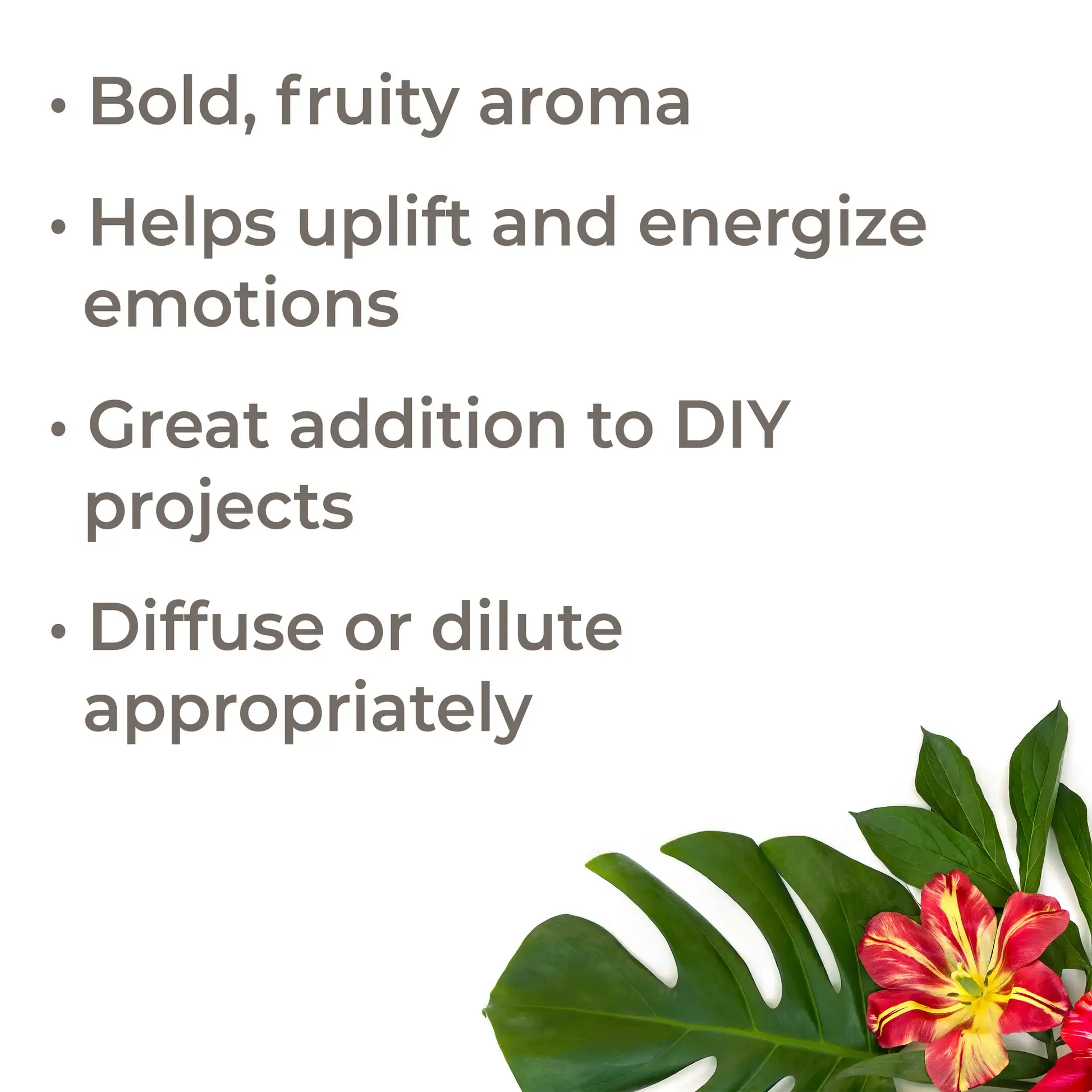 Plant Therapy - Vendita all'ingrosso Olio essenziale - Miscela di oli essenziali di Tropical Passion7