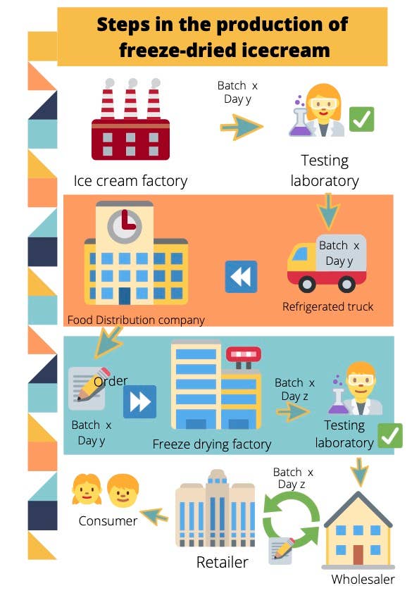 Science and Nature - Wholesale Ice Cream/Sorbet - Delicious Freeze Dried Ice Cream (choose pack size)4