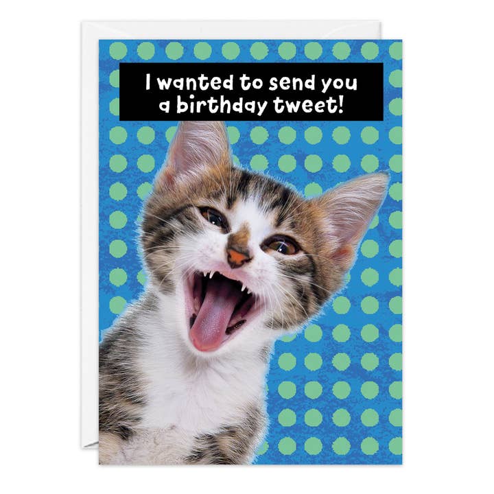 Tweet Birthday Card for wholesale by G & T Greetings Northwest