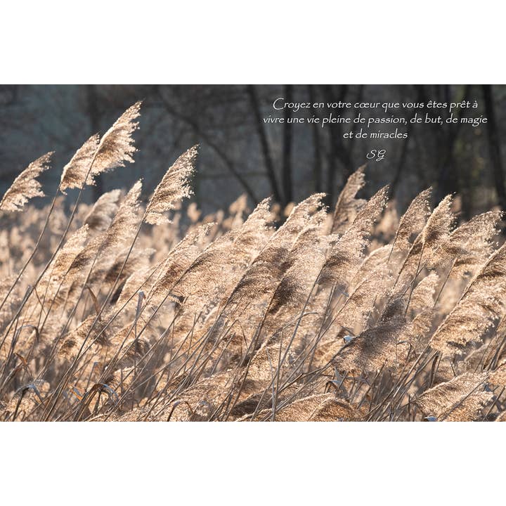 Ondulación para venta al por mayor de L'Ecriture D'Un Regard