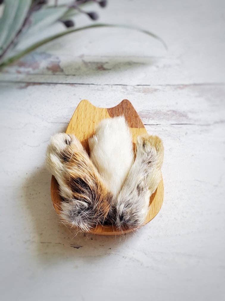 Naked Beasts, Inc. - Wholesale Pet Treats - Dog - Rabbit Feet2