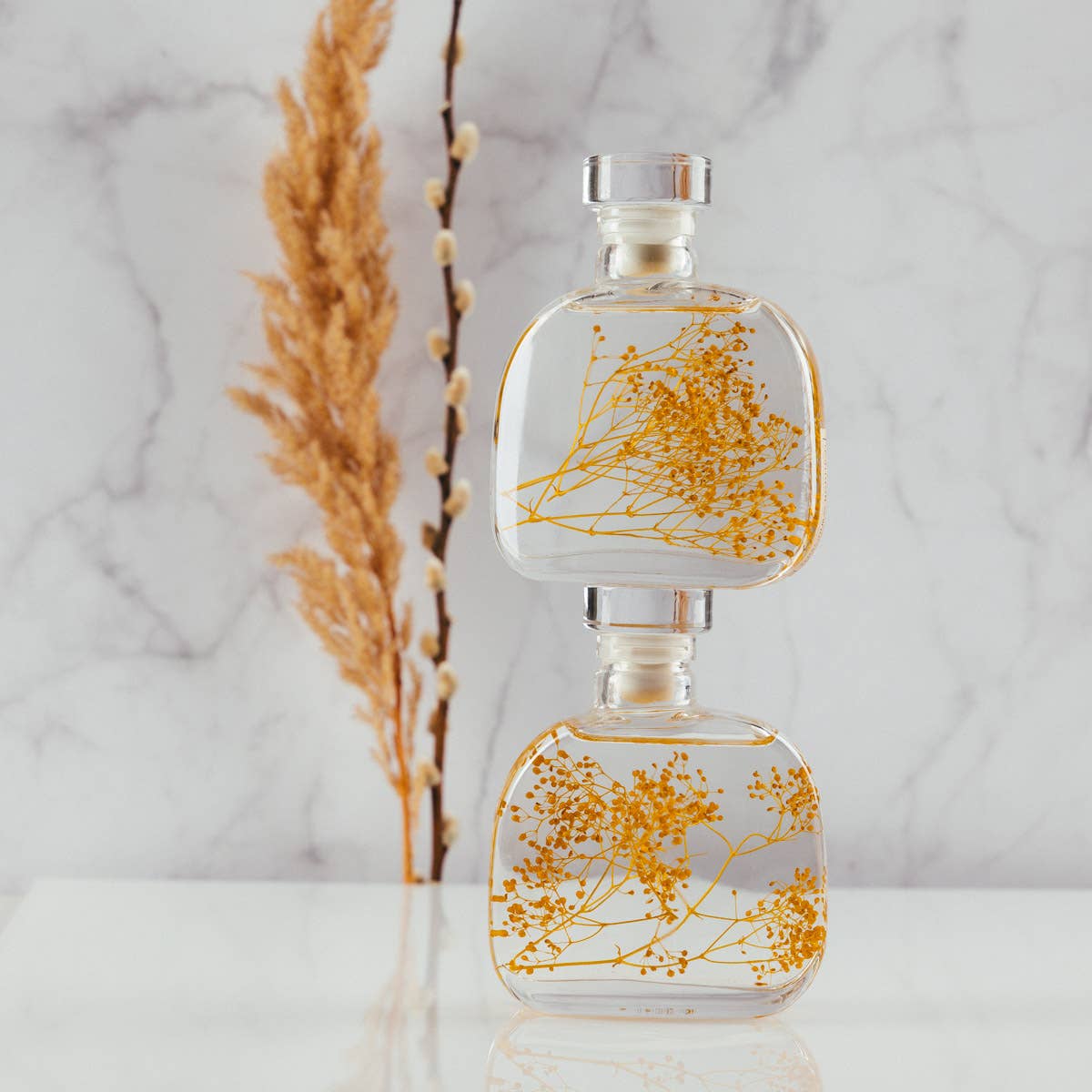 Theophile Berthon – wholesale Levande växt – Herbariumkapsel - Safrankärleksört nedsänkt växt4