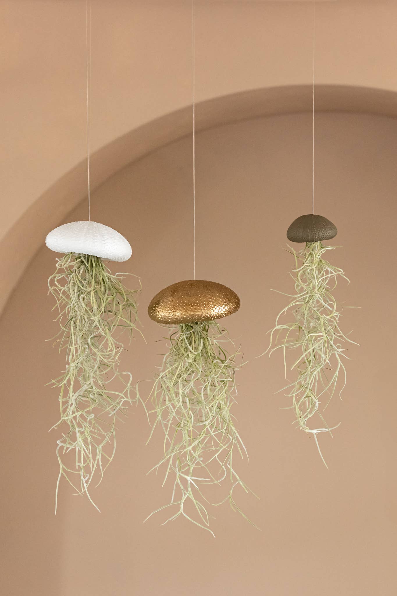 Juffrouw Pannenkoek deco /JP deco - Wholesale Live Plant - Hanging airplant – sea urchin – Pink – Large1