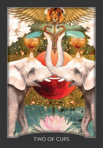 Cardshouse - Vendita all'ingrosso Tarocchi - Carte dei Tarocchi Guardian of the Night di Hay House9