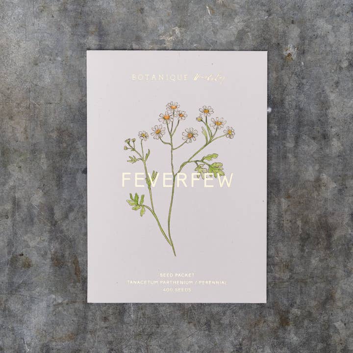 Botanique Workshop - Wholesale Plant Seeds - Feverfew Tanacetum Seed Packet