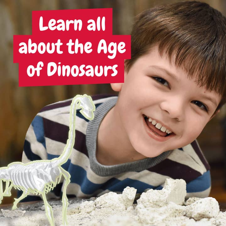 Science4you – Großhandel Spielzeugset – Kinder – Fossilienausgrabungen für Kinder - Im Dunkeln leuchtender Brachiosaurus