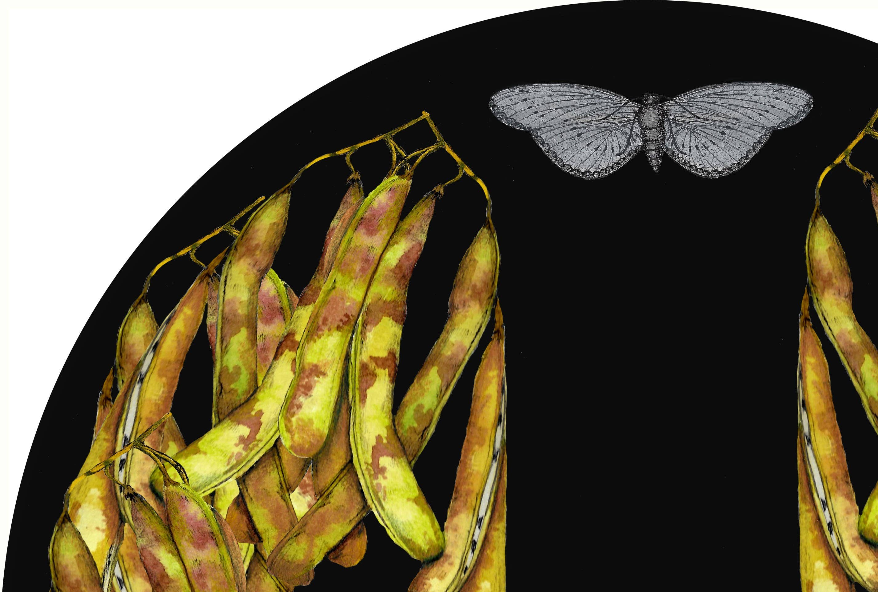 SENA CIFUENTES - Wholesale Wall Accent - ROUND ALIA 42