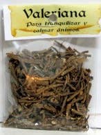 VALERIAN HERB for wholesale by El Alquimista