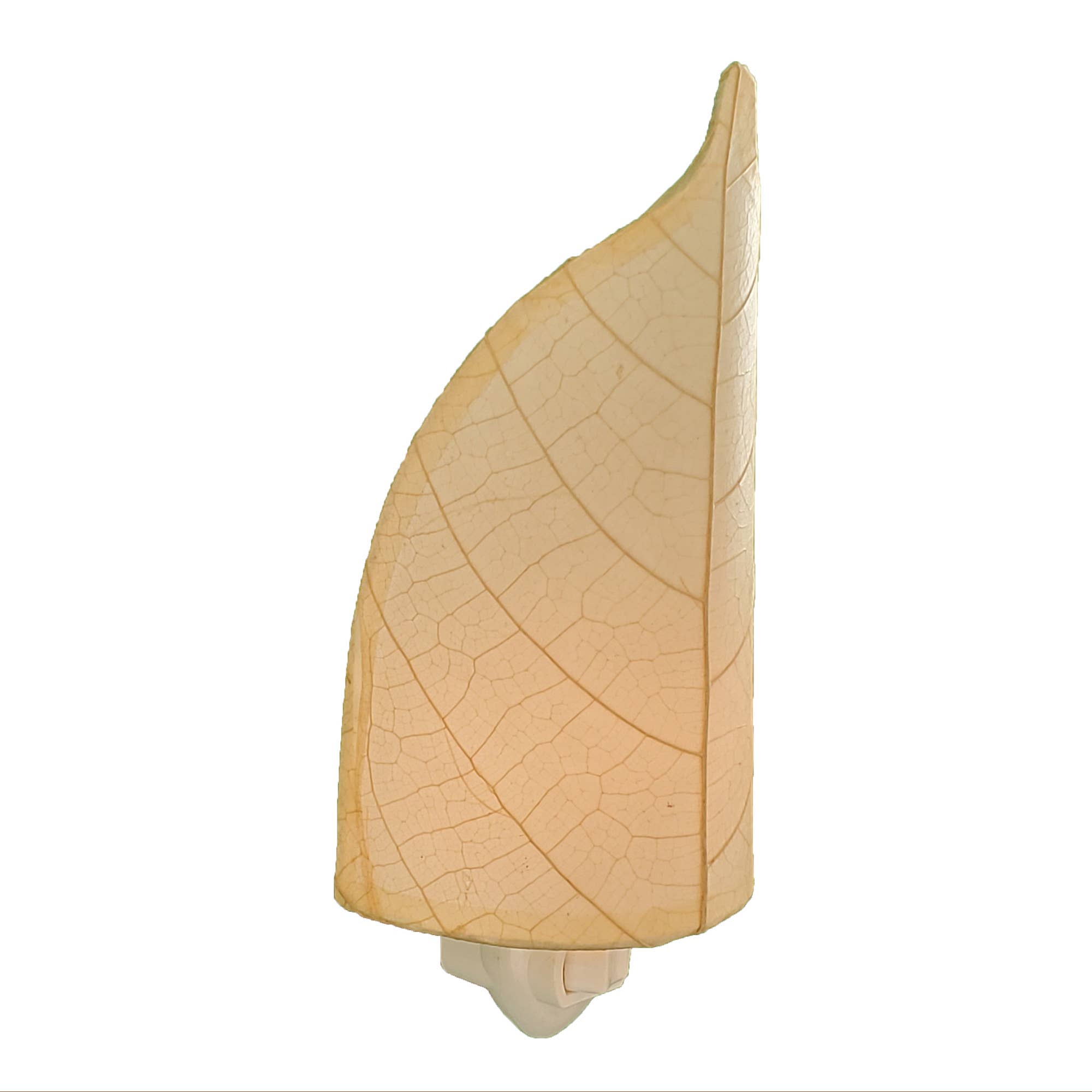 Eangee Home Design - Wholesale Night Light - Leaf Nightlight Natural, Shade Made of Cocoa Leaves3