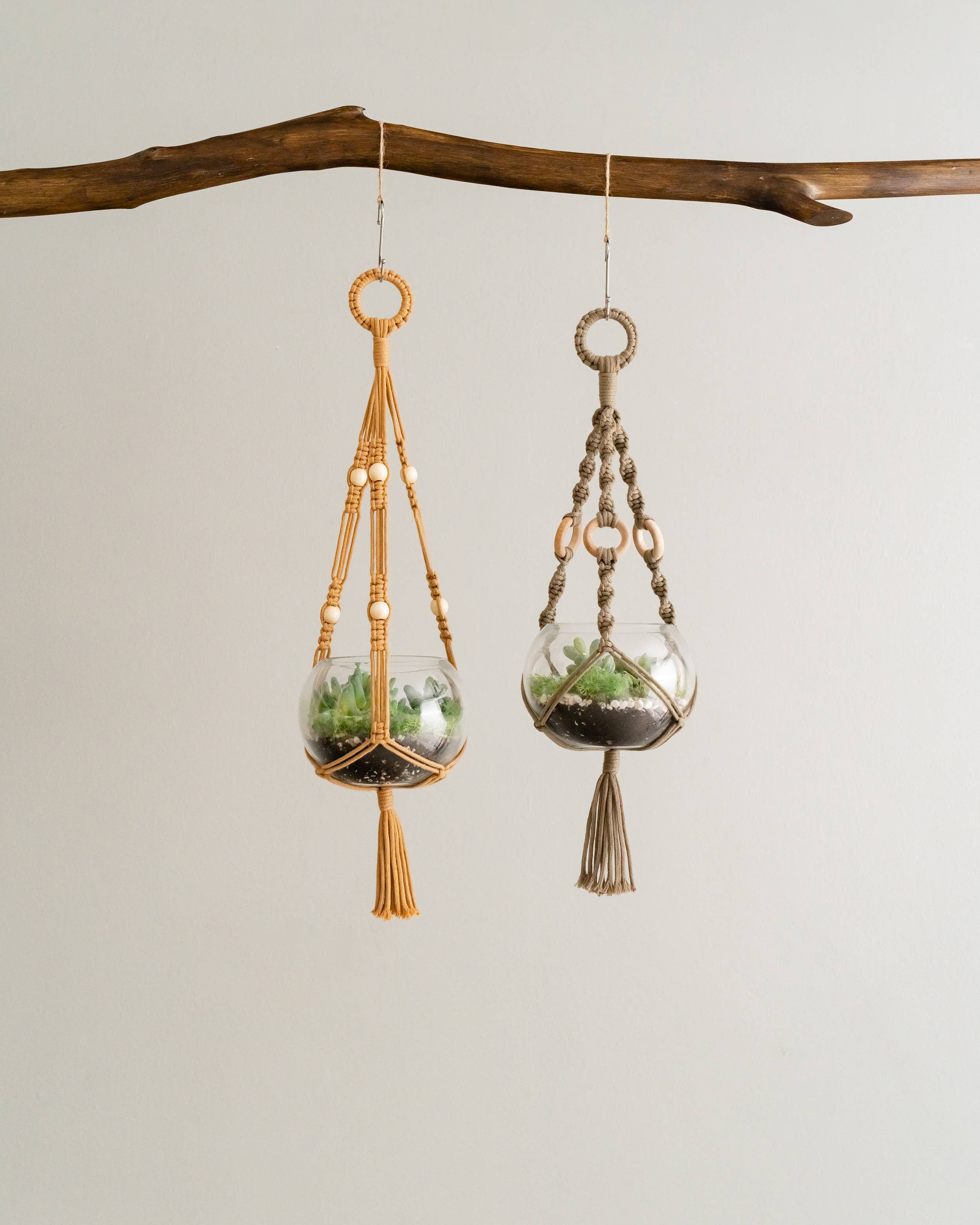 BeanDaikon - Venta al por mayor Macetas colgantes - Colgador para plantas de terrario I687