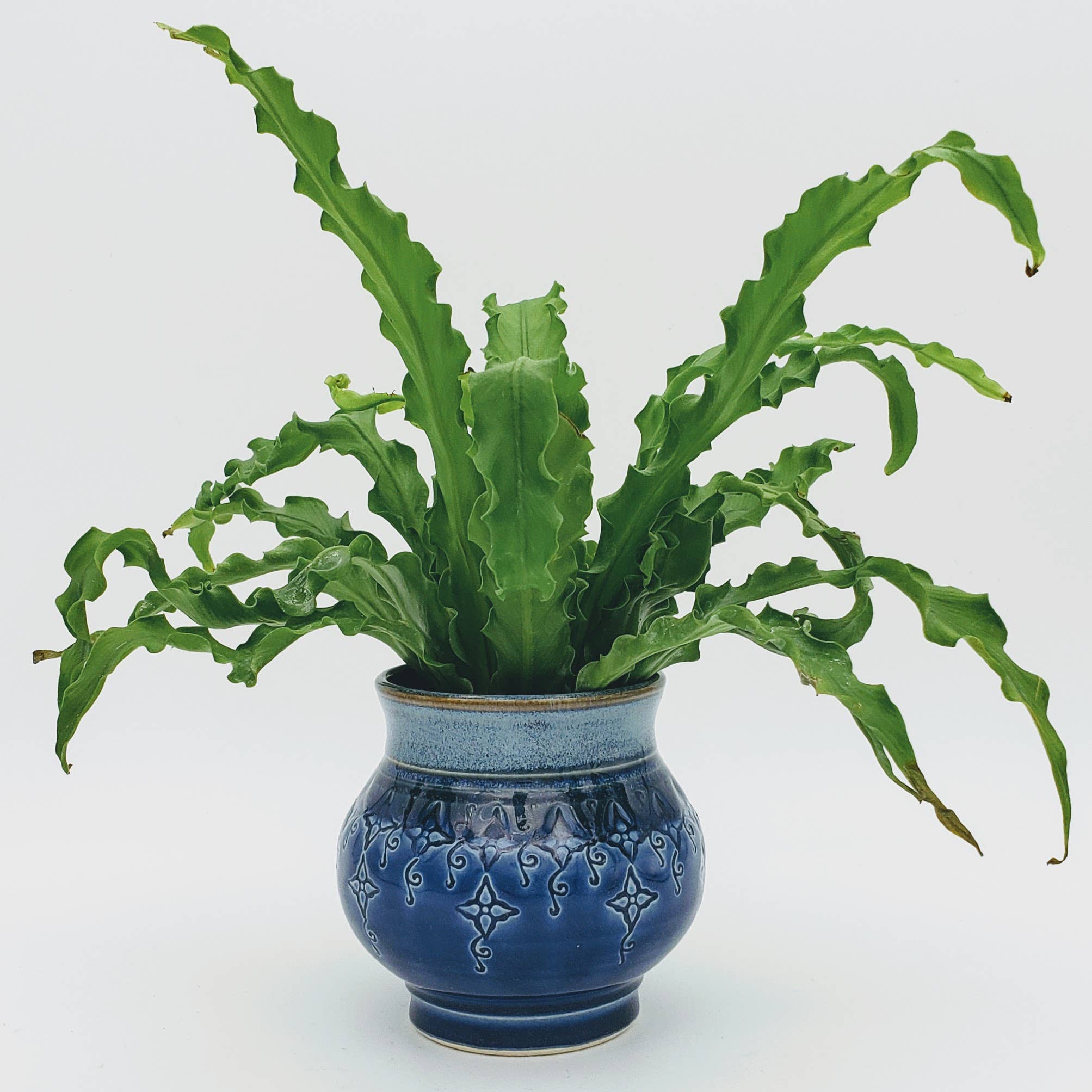 Plays in Mud Pottery - Wholesale Plant Pot - Large Tabletop Planter - Handmade Pottery Planter - MTO7