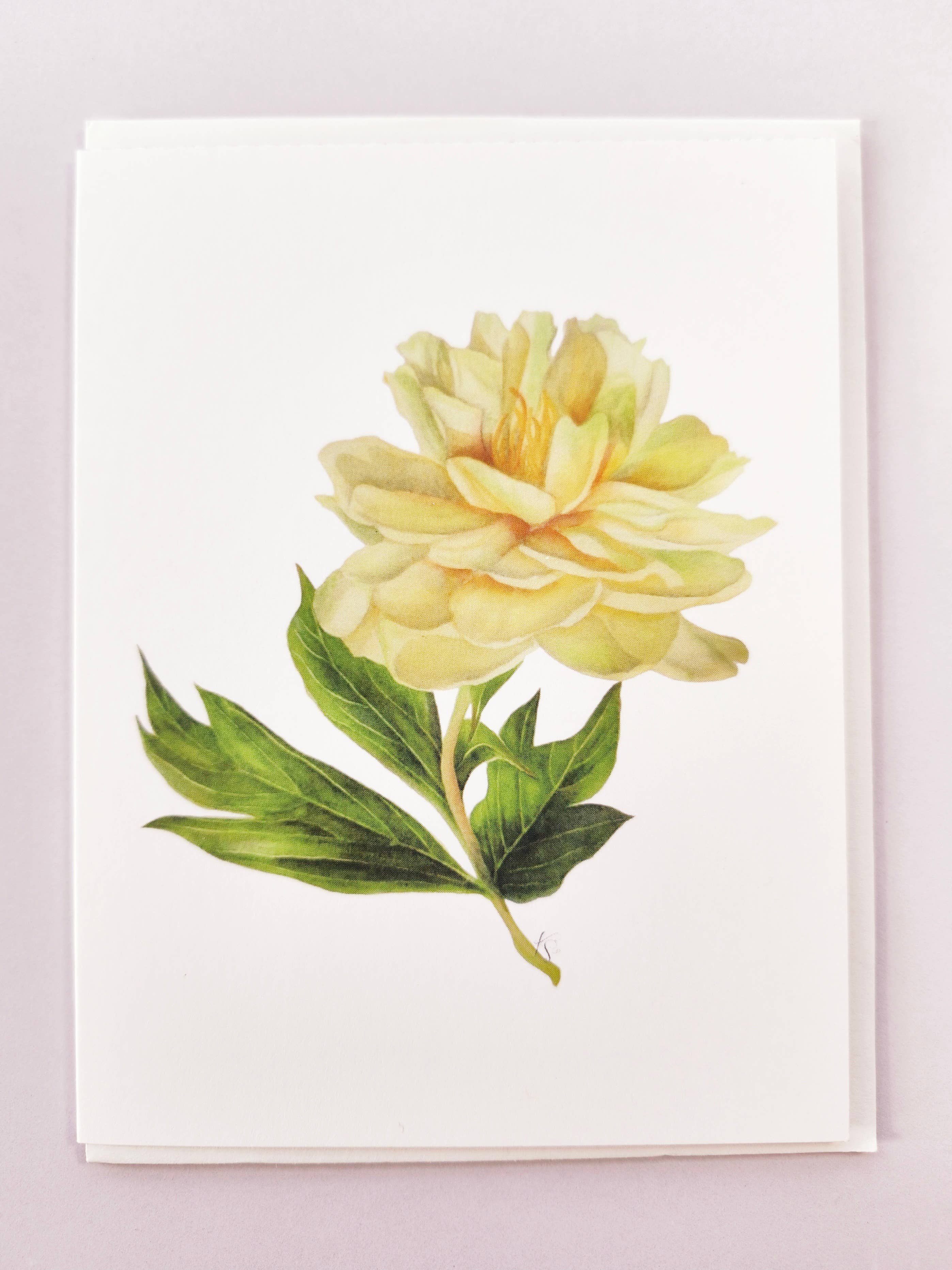 Redbriar Studio - Wholesale Stationery/Notecard Set - Notecards18