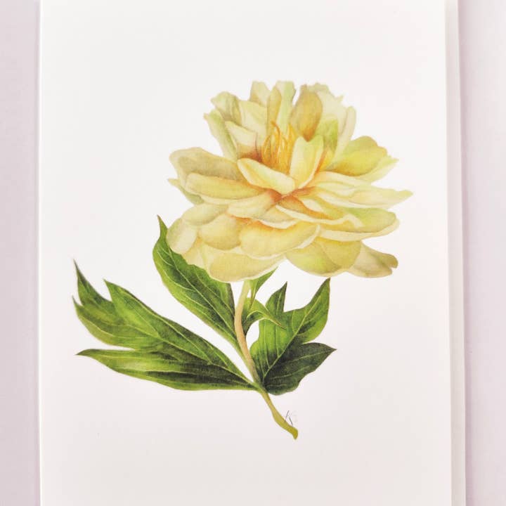 Redbriar Studio - Wholesale Stationery/Notecard Set - Notecards18