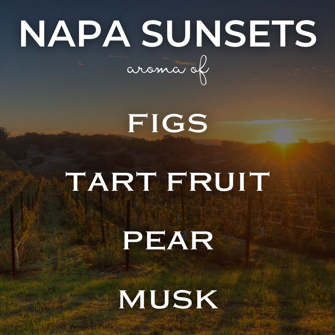 The Diya Co - Wholesale Jar/Filled Candle -  10 oz White Label Unbranded | Coconut Soy Candle10