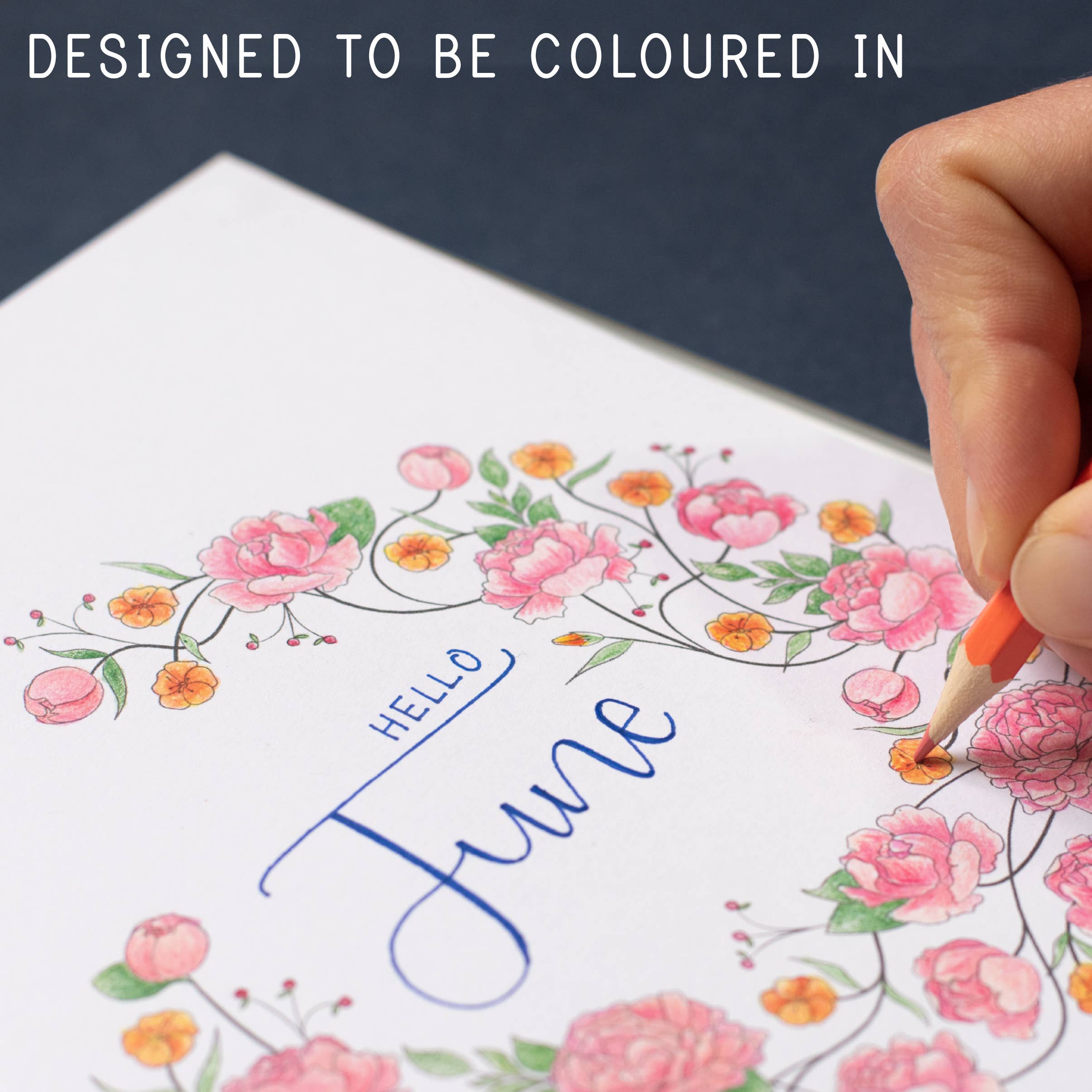 LILLA Journals – wholesale Journal/diary – Floral Weekly Bullet Journal | Undated illustrated planner2