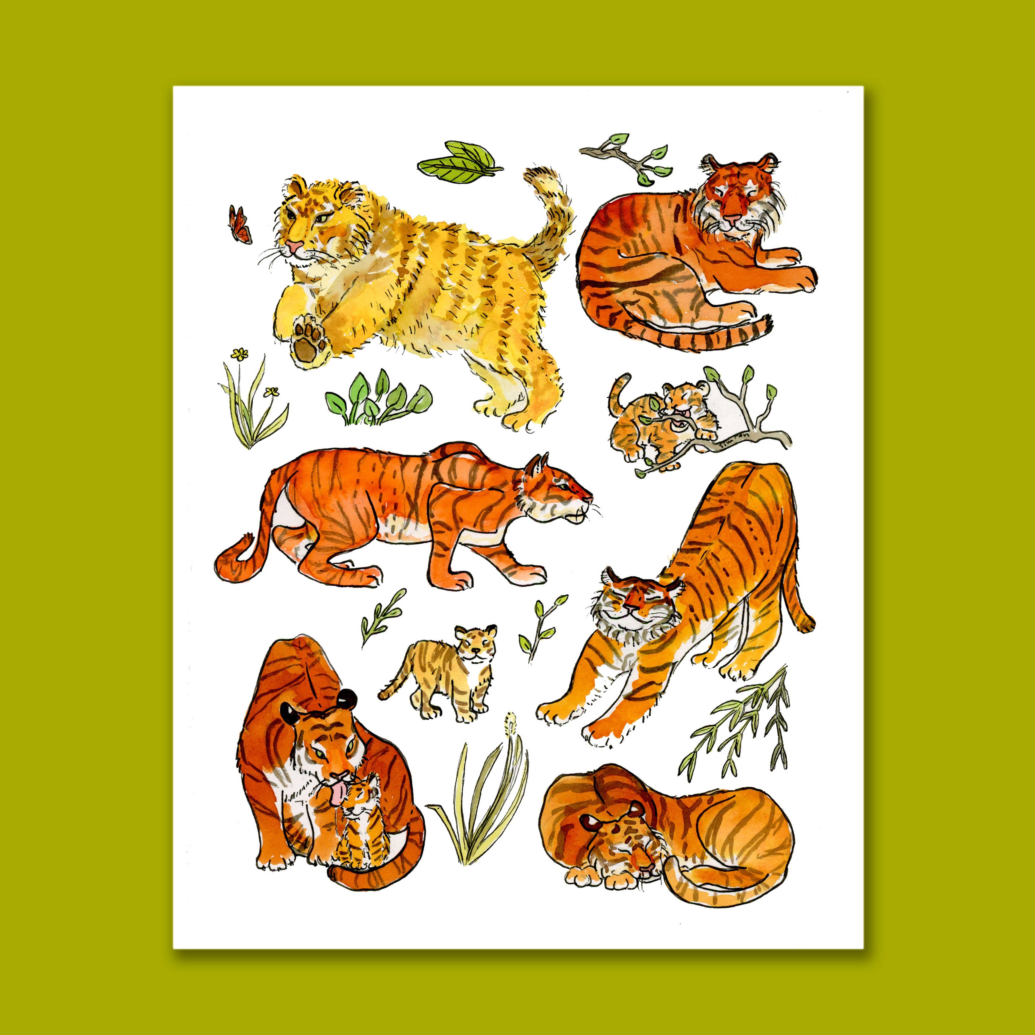 SquidCat, Ink - Wholesale Art Print - Year of the Tiger Art Print1