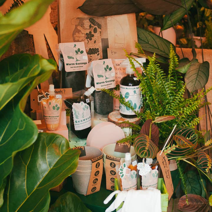 Stem&Co – wholesale Fertiliser – Concentrated Seaweed Plant Feed (300ml plastic pouch)8