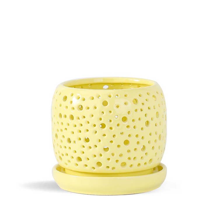 Rain Drop Orchid Planter, Pastel Yellow, for wholesale by Pacific Home & Garden