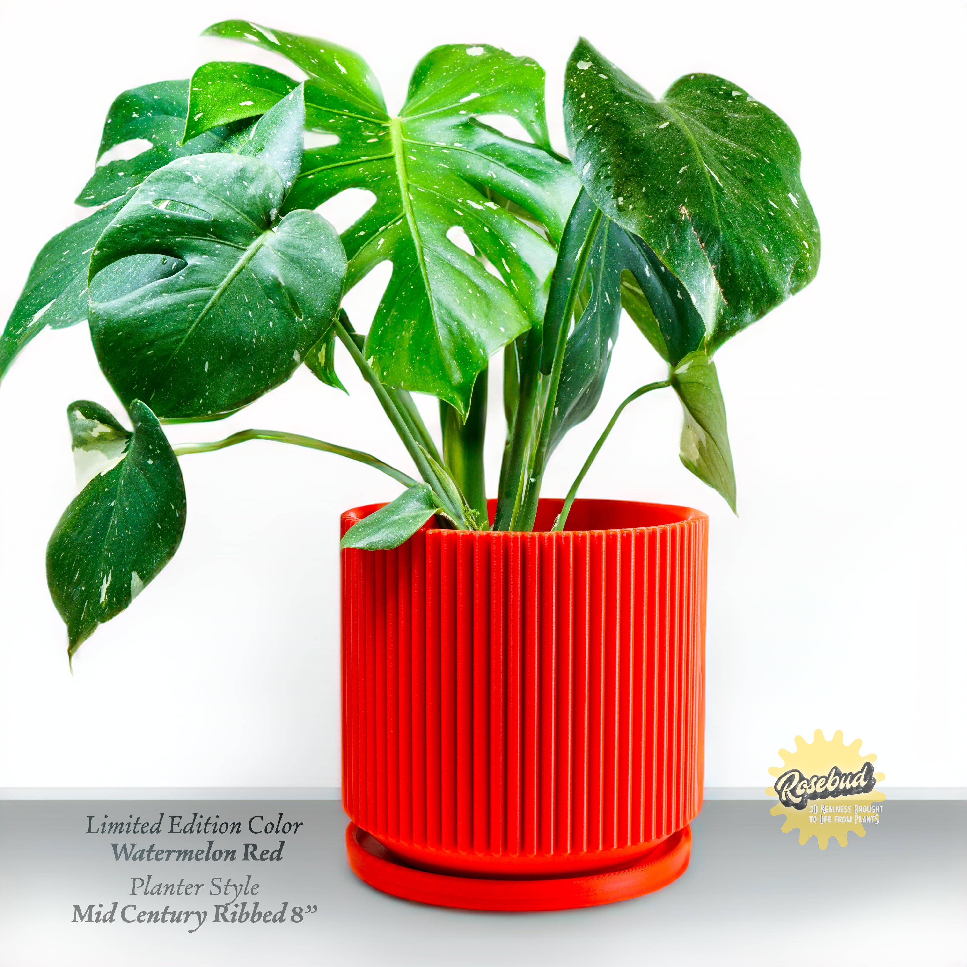 Rosebud Homegoods – wholesale Kruka – Planteringskärl med ribbor från mitten av århundradet8