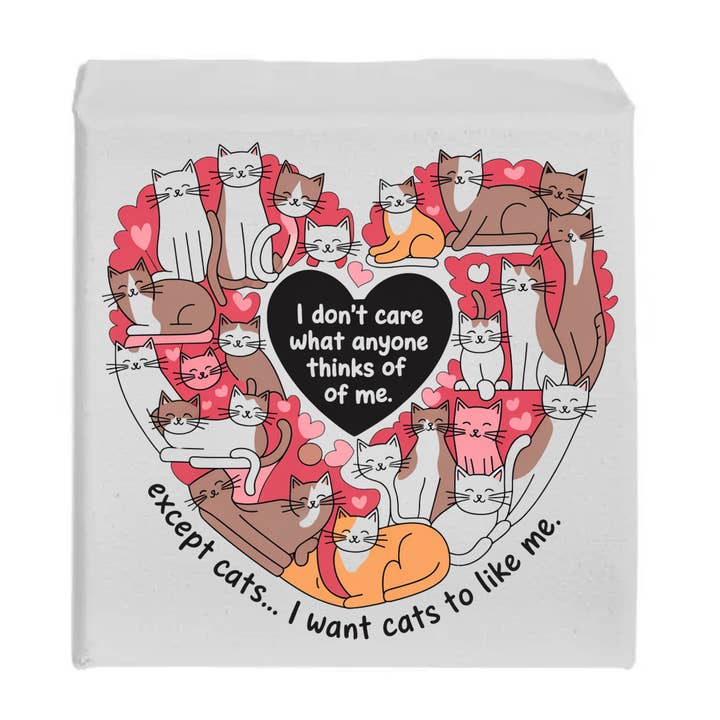 I Just Want Cats to Like Me Funny Sign for wholesale by Kennebug LLC