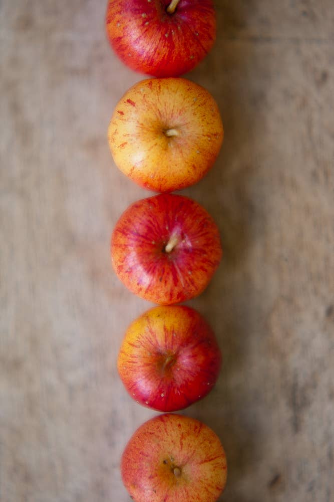 Girl Meets Dirt - Wholesale Preserves - Ruby Red Apple Cutting Preserves 4.5oz2