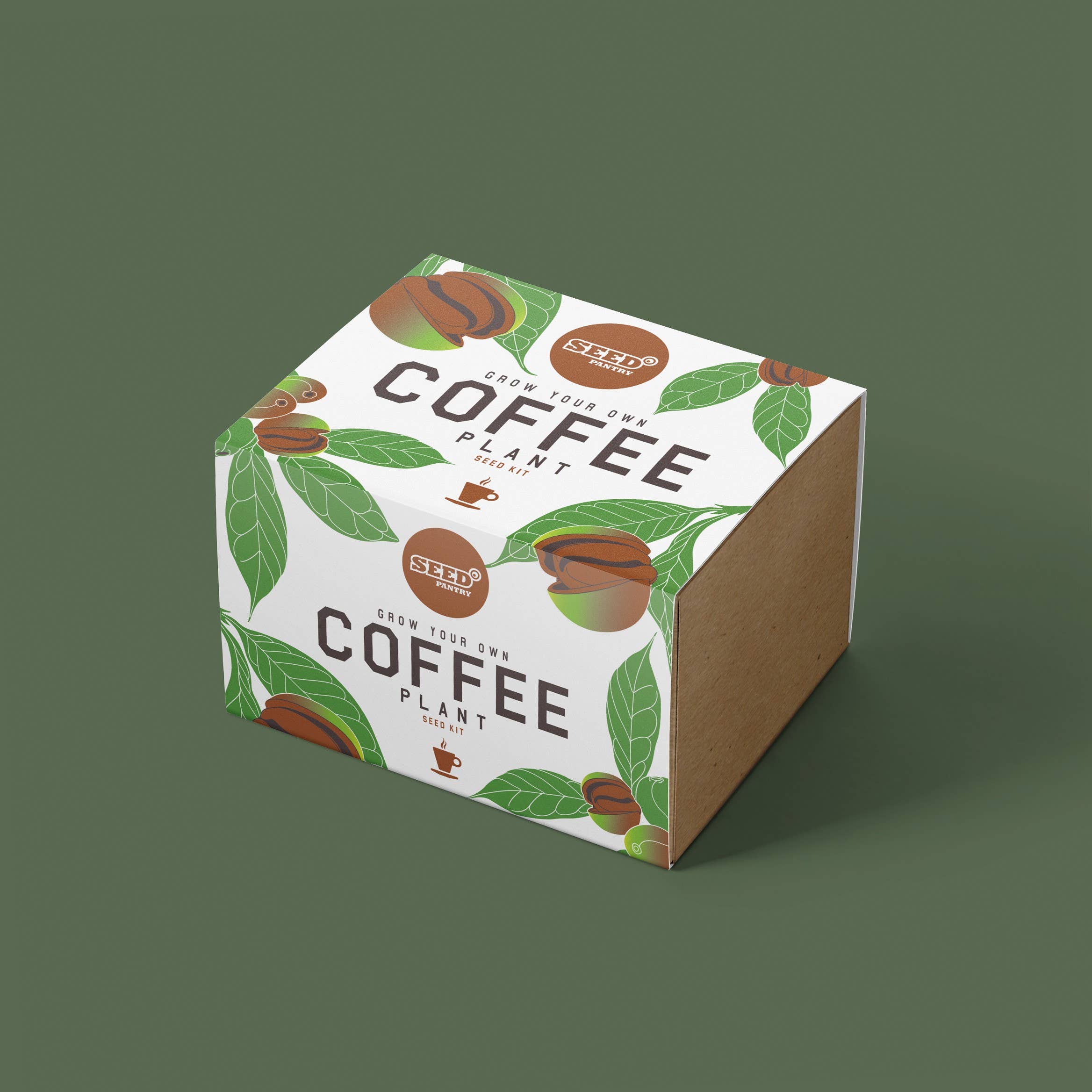 Seed Pantry – wholesale Plant seeds – Coffee Bean Plant Seed Kit0