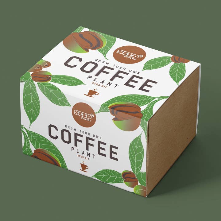 Coffee Bean Plant Seed Kit for wholesale by Seed Pantry