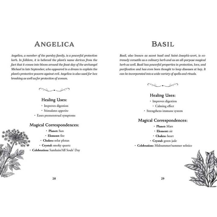 Simon & Schuster UK – wholesale Tarot cards – Green Witch's Deck of Magical Herbalism6