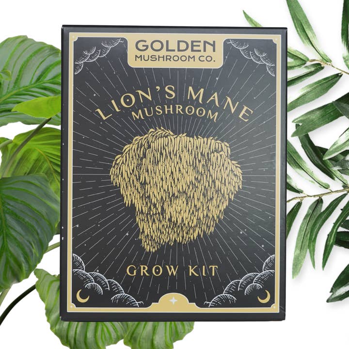 Golden Mushroom Co - Wholesale DIY Food Kit - Lion's Mane Mushroom Grow Kit