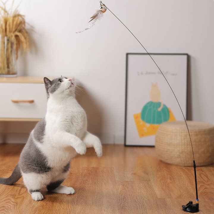 Leo's Paw - Wholesale Pet Toy Set - Cat - Interactive Bird Simulation Cat Toy Set