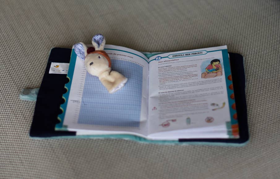 Ebulobo - Wholesale Stuffed/Plush Toy - Kids & Baby - Gabin health book cover2