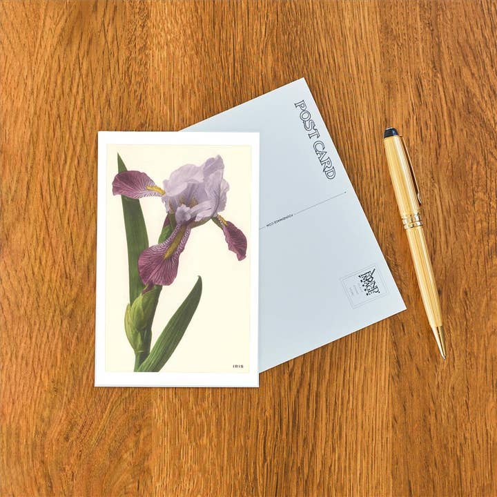 Found Image Press - Wholesale Postcard - Postcard FC-110 Iris1