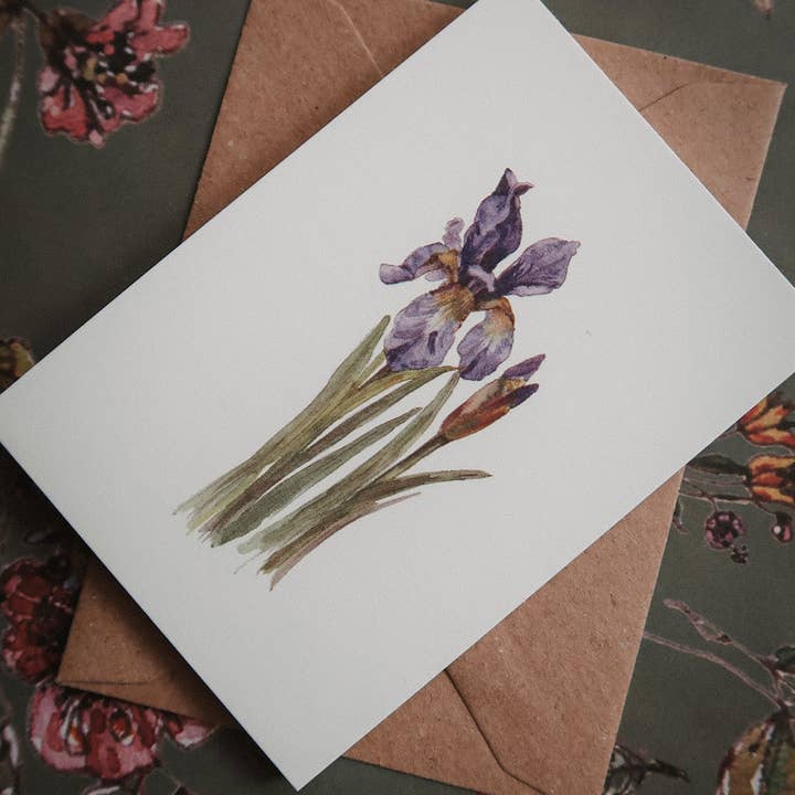 MyDesignPictures – wholesale Vardagliga hälsningskort – Blå iris blomma, litet platt kort