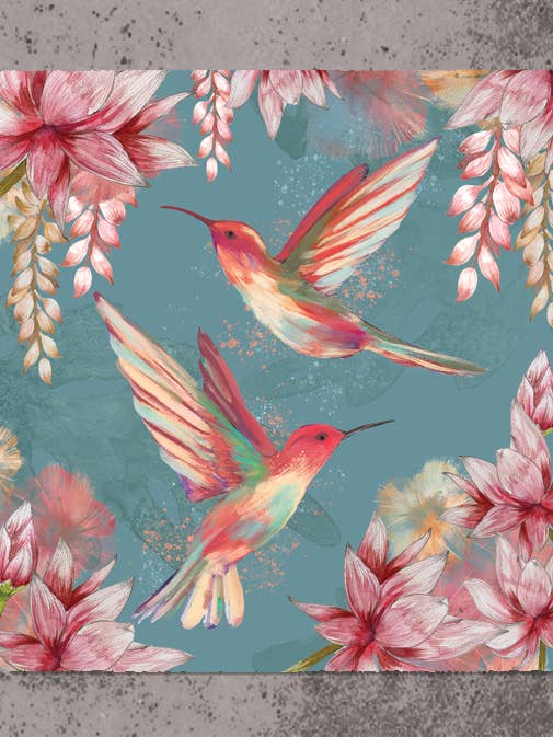 Kolibri dækkeserviet for engroshandel hos Dollyhotdogs