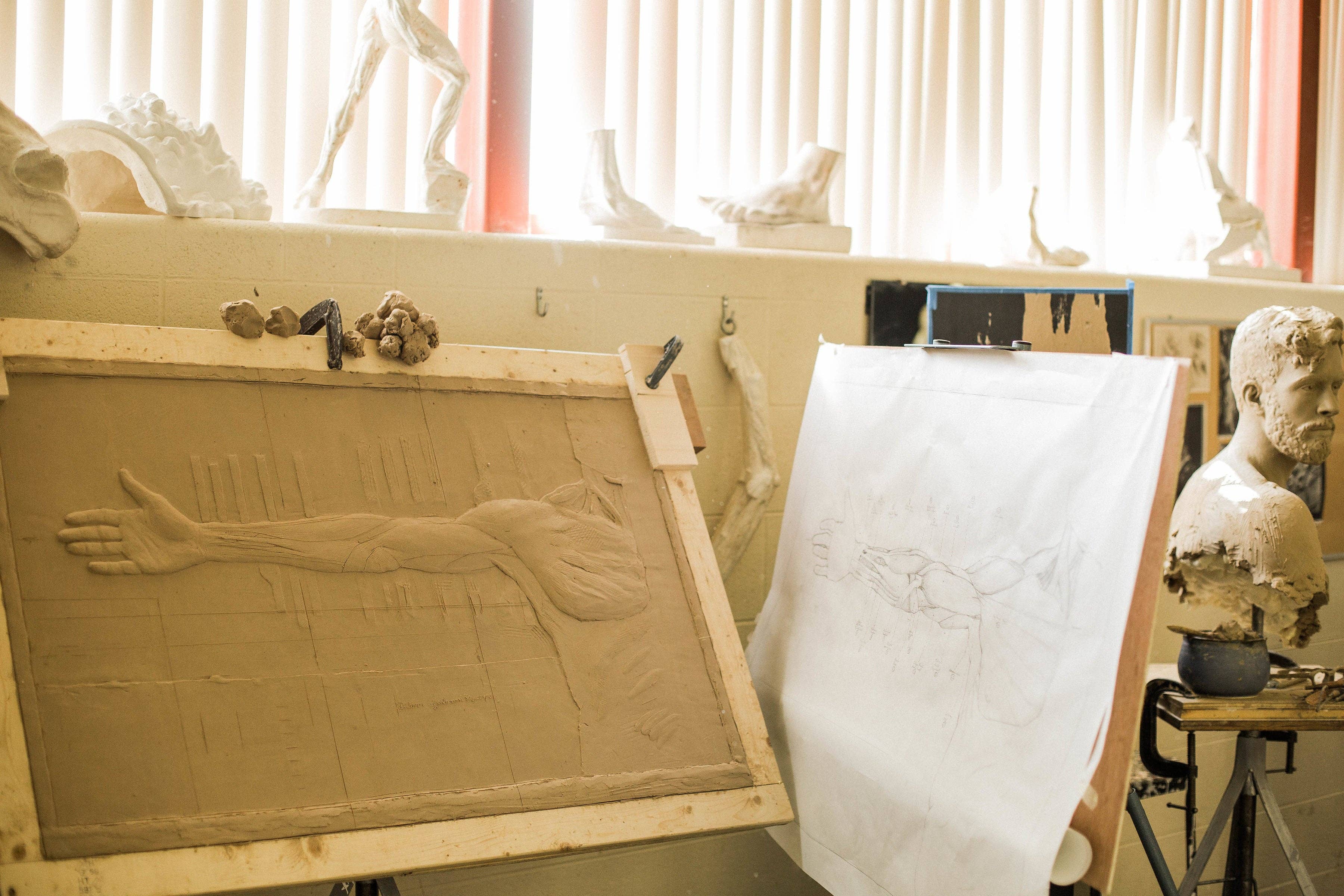 dellsculpture - Wholesale Sculpture - ANATOMICAL ARM7