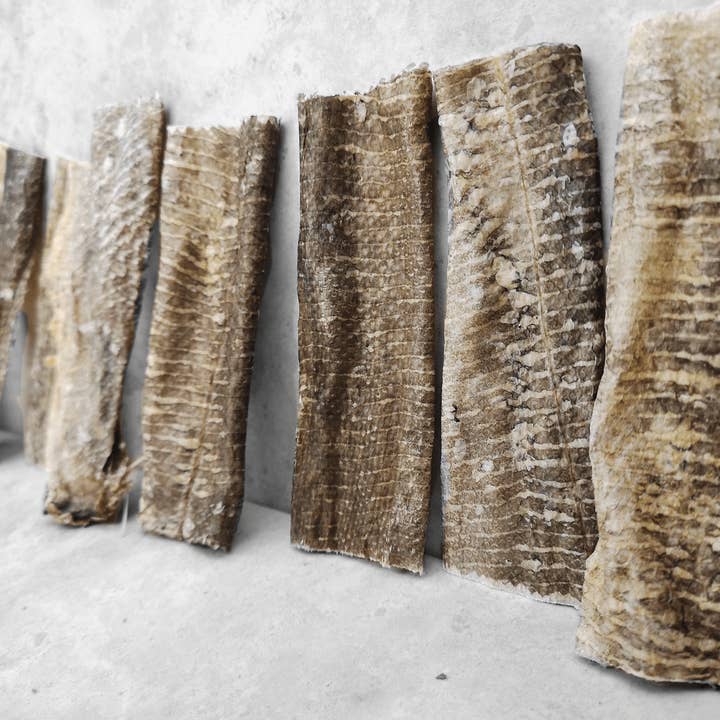 Goodchap's - Vendita all'ingrosso Snack - Cani - Ricarica in Barattolo | Pesce Bianco Essiccato5