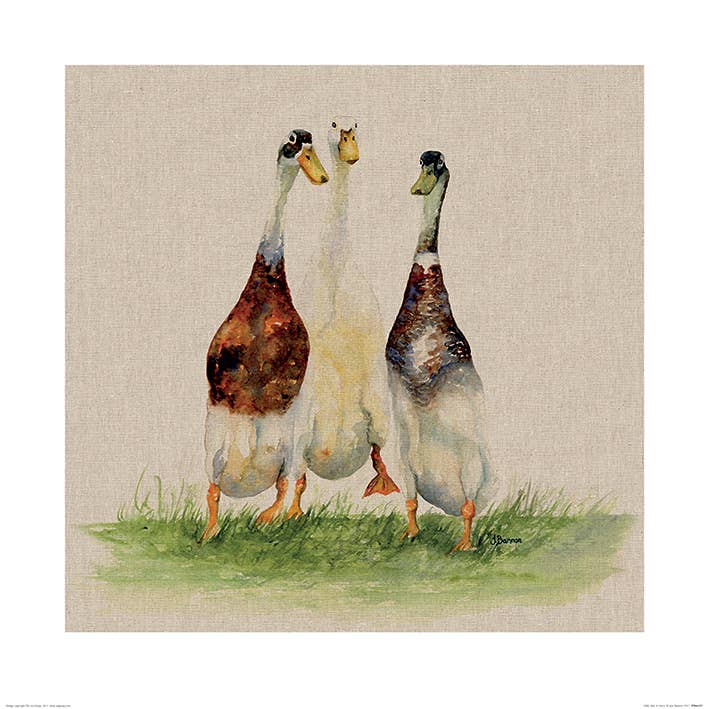 Jane Bannon (Dilly, Roly & Henry) - PPR46197 for wholesale by The Art Group