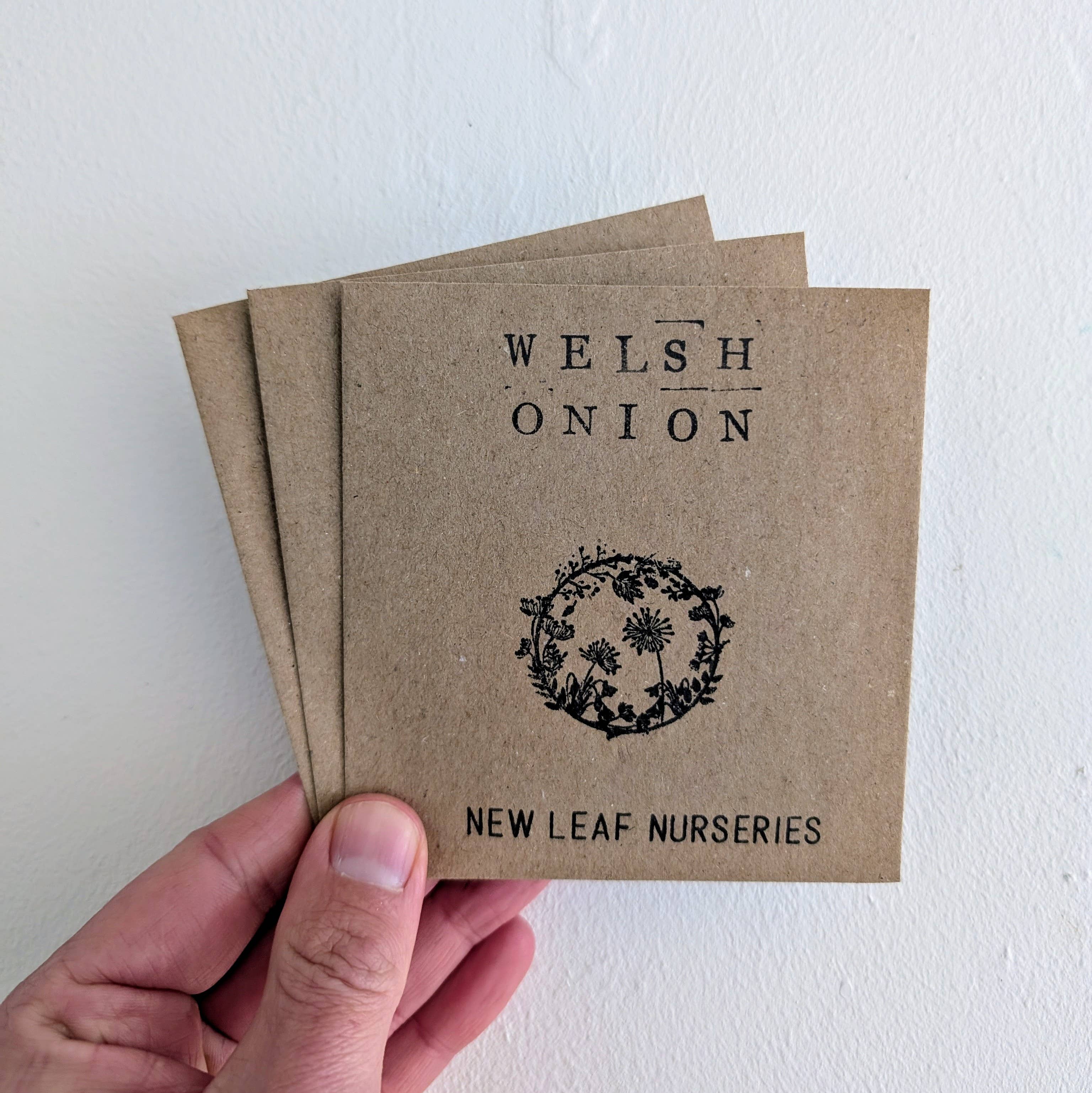 New Leaf Nurseries – wholesale Plant seeds – Welsh Onion Seeds0