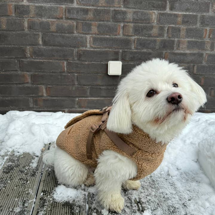 Puppy Bohème – casaco - Cão por atacado – Casaco de peluche com arnês5