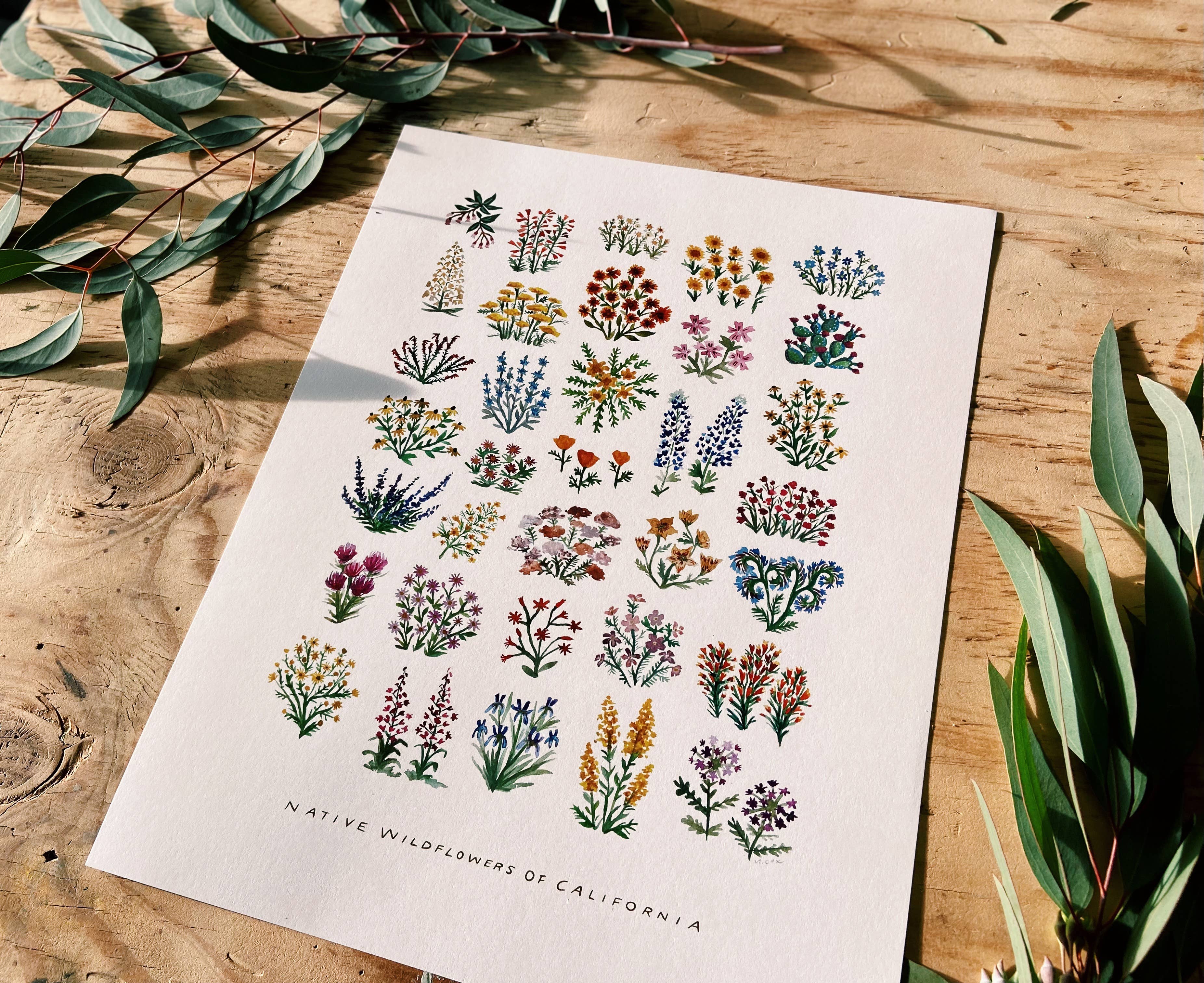Little Salt Wagon - Wholesale Art Print - California Native Wildflowers Botanical Art Print Wall Decor4