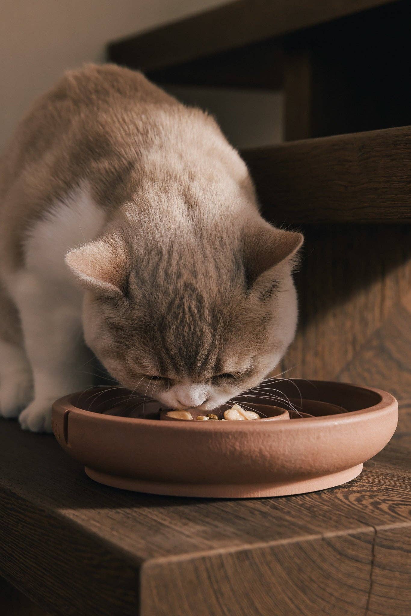 PINO - Wholesale Pet Bowl - Cat - Slow Feeder Bowl for Cats3